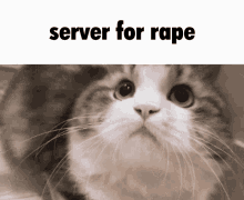 Rape Server GIF - Rape Server GIFs