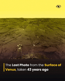 a picture of the surface of venus taken 43 years ago