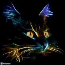 a cat with green eyes and purple ears