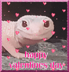 Valentine'S Day Happy Valentines Day GIF - Valentine'S Day Happy Valentines Day Valentine Gecko GIFs