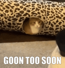 a picture of a cat in a leopard print tunnel with the caption goon too soon