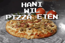 Pizza Haniwilpizza GIF - Pizza Haniwilpizza Hani GIFs