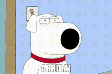 Family Guy Brian Griffin GIF - Family Guy Brian Griffin Arriba GIFs