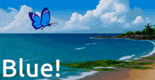 a blue butterfly is flying over a beach with the words blue behind it