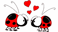 love bugs hearts valentine you