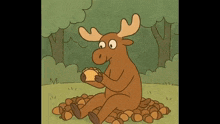 a moose is eating a taco while sitting on a pile of acorns