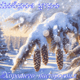 a picture of snow covered pine cones with the words " доброе утро " in blue letters