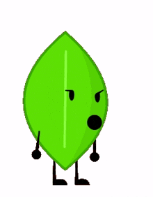 bfdi leafy