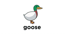 goose polo