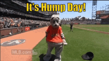 Hump Day Mascot GIF - Hump Day Mascot GIFs
