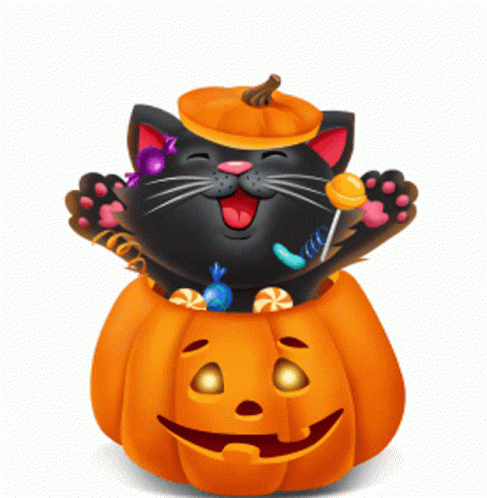 Halloween Black Cat GIF - Halloween Black Cat Ninisjgufi - Discover & Share  GIFs