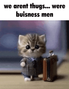 a kitten wearing a suit and tie holding a suitcase with the caption we arent thugs were business men