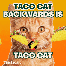 Tacos Taco Tuesday GIF - Tacos Taco Tuesday Taco Cat GIFs