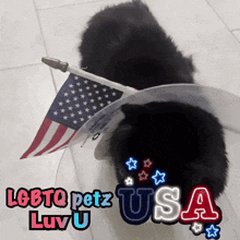 a picture of a cat with an american flag and the words lgbtq petz usa