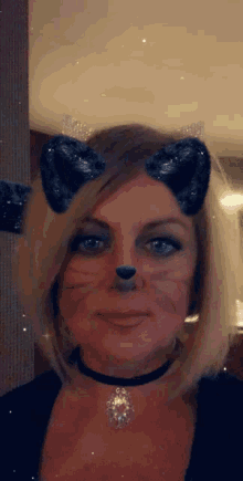 Cat Selfie GIF - Cat Selfie Meow GIFs