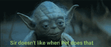 Yoda Star Wars GIF - Yoda Star Wars Pet Does That GIFs