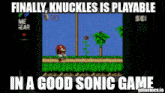 Sonic The Hedgehog Knuckles The Echidna GIF