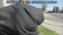 Adoption Center Relatable GIF - Adoption Center Relatable GIFs