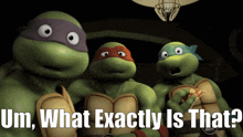 three teenage mutant ninja turtles are standing next to each other with the words um what exactly is that