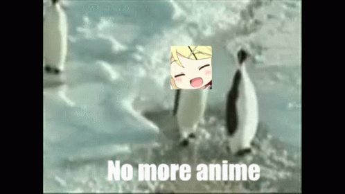 no-more-anime-ayaya.gif