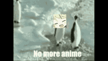 No More Anime Ayaya GIF - No More Anime Ayaya Penguin GIFs