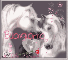 Amore Buongiorno GIF - Amore Buongiorno Cavallo GIFs