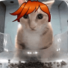 a cat with a drawing of a person 's head on its head
