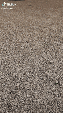 a tiktok video of a car driving down a gravel road .