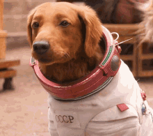 Cosmo Hungry GIF - Cosmo Hungry Rocket GIFs