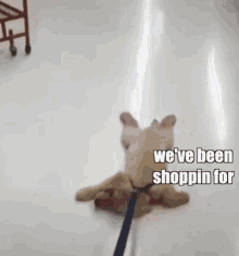 Tired Puppy GIF - Tired Puppy Dog GIFs