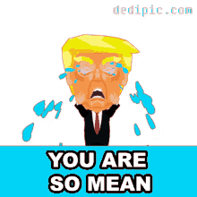 You Are So Mean Trump Lost GIF - You Are So Mean Trump Lost Losing Trump GIFs