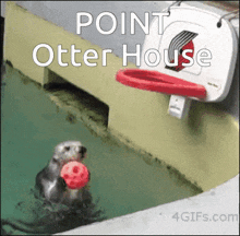 an otter is holding a red ball in a pool with the words point otter house written above it