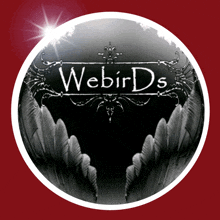 Webirds1 Wb1 GIF - Webirds1 Wb1 GIFs