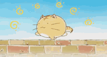 Poyopoyo Cat GIF - Poyopoyo Cat GIFs