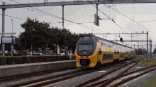 nederlandse railways