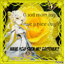 lumine good morning have you seen my brother