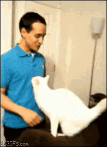 Gimme All Your Lovin’!  (And The Treat You Promised Me If I Did This Shit.) GIF - Cats Cat Hug Gimme All Your Lovin GIFs