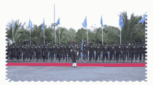 Somalia Somalia National Army GIF