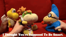 Sml Bowser Junior GIF - Sml Bowser Junior I Thought Youre Supposed To Be Smart GIFs