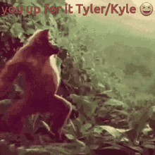 Dance Orangutan GIF - Dance Orangutan You Up For It Tyler GIFs