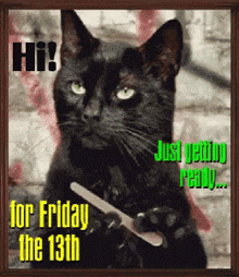 a picture of a black cat holding a nail file with the words hi for friday the 13th below it