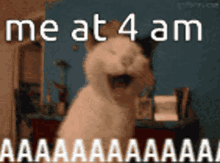 Not A Morning Person GIF