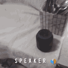 speakers play