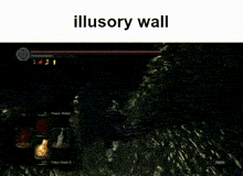 a screenshot of a video game with the words " illusory wall " above it