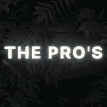 the pros progamer hacker notahacker pro