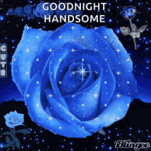 Blue Roses GIF - Blue Roses Night GIFs