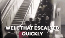 Well That Escalated Quickly GIF - Well That Escalated Quickly Falling GIFs