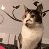 Cat Oondasta GIF - Cat Oondasta GIFs