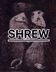 Shrew Shrews GIF - Shrew Shrews Baby Shrew GIFs