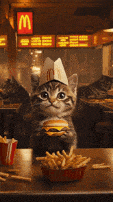 a cat wearing a mcdonald 's cone holds a hamburger and french fries
